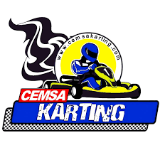 Cemsa karting   Kis Kupasi  RokGP - image